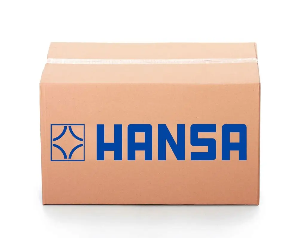 Brauner Karton mit blauem "HANSA"-Logo auf der Frontseite, verschlossen mit transparentem Klebeband.